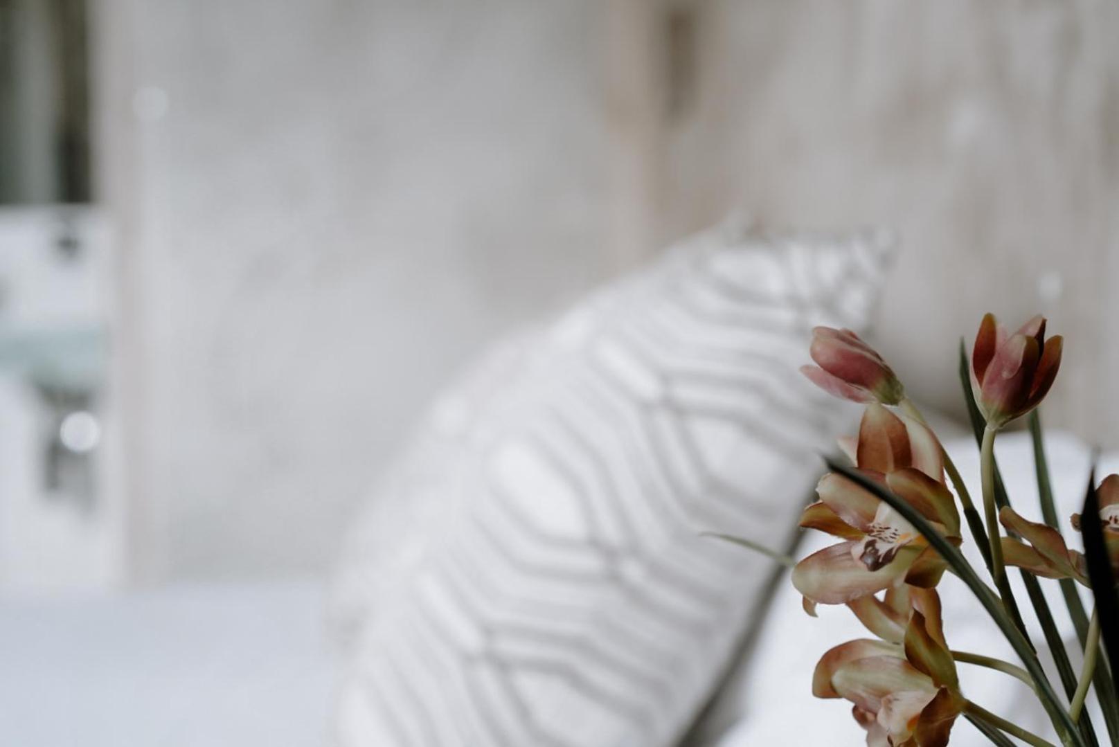 Ideal Sejour Cannes - Stylish Boutique Hotel With Quiet Garden Exterior foto